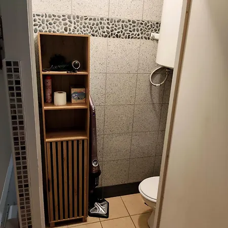 38 M2, Au Calme Reposant, Près Du Puy /fou Appartement